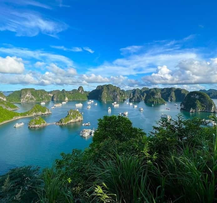 Halong 6 Hours Cruise: Kayak, Cave, Lunch, Beach & Island - Ti Top Island, swimming or a steep viewpoint