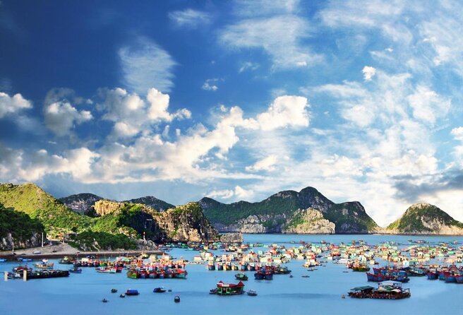 Halong Bay 2D1N BEST CRUISES All-Inclusive: Transfer, Meals, Kayak, Cave, Island - What this Halong Bay cruise is really offering