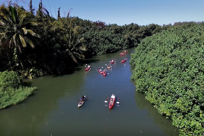 Hanalei Bay Morning Kayak and Snorkel Tour - Forty-five minutes on the reef