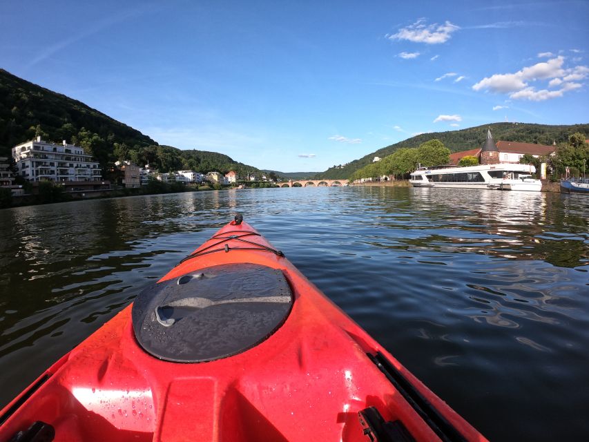Heidelberg: 2-Hour Kayak Tour - Why Heidelberg looks different from a kayak