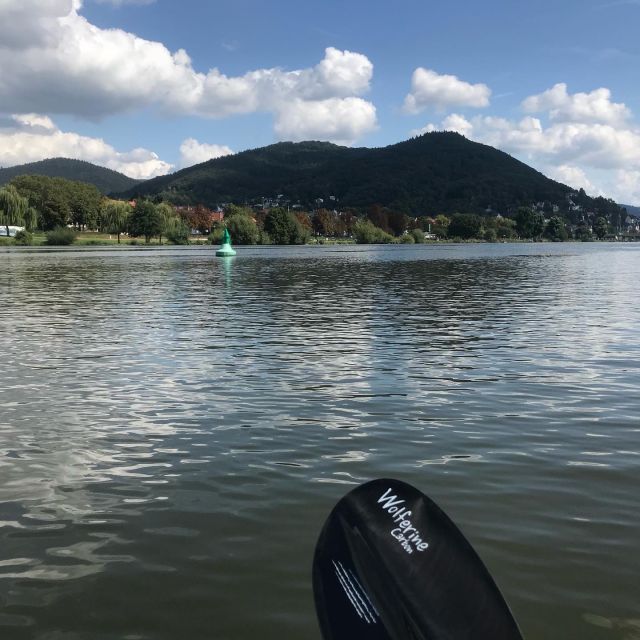 Heidelberg: 2-Hour Kayak Tour - Getting on the water in a beginner-friendly kayak