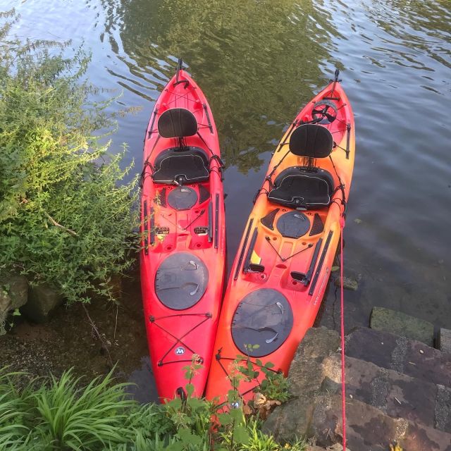 Heidelberg: 2-Hour Kayak Tour - Seeing Heidelberg Castle from the river