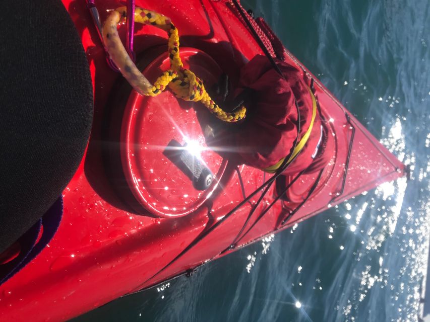 Heidelberg: 2-Hour Kayak Tour - The guides and the feel of the outing