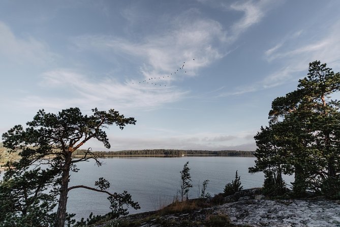 Helsinki by Kayak - Your First Lesson in a Stable Kayak