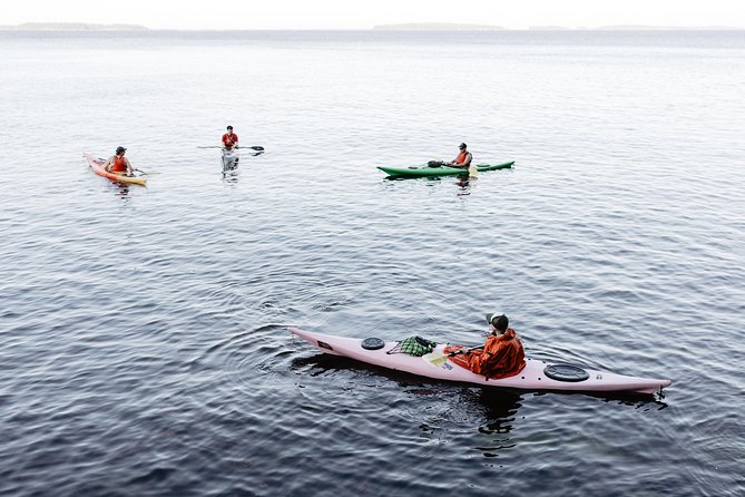 Helsinki by Kayak - Who Will Get the Most From This Tour?