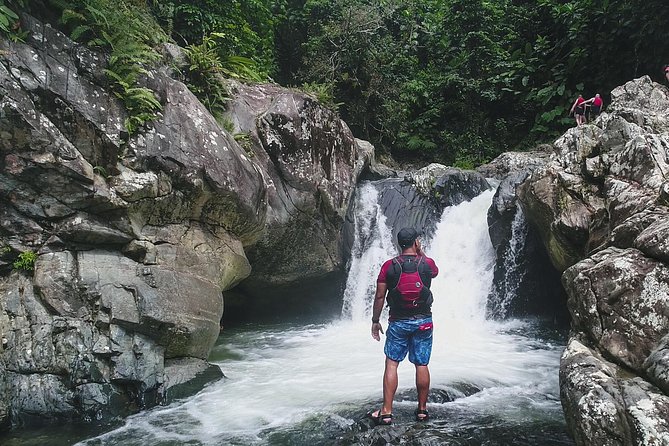 Hike El Yunque Rainforest and Kayak Bio Bay Combo Tour - What the El Yunque hike is really like