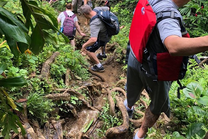 Hike El Yunque Rainforest and Kayak Bio Bay Combo Tour - What to pack, wear, and leave behind