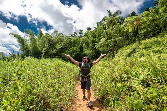 Hike El Yunque Rainforest and Kayak Bio Bay Combo Tour - Value, timing, and cancellation details