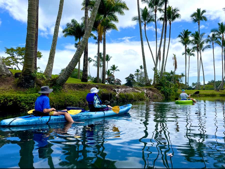Hilo: Wailoa River to King Kamehameha Guided Kayaking Tour - Under the dragon arches