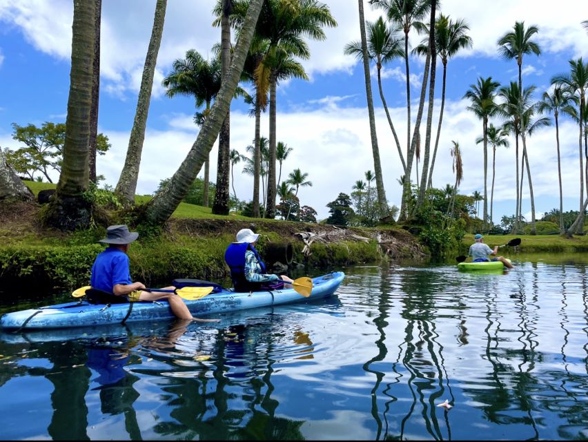 Hilo: Wailoa River to King Kamehameha Guided Kayaking Tour - What is included for $125