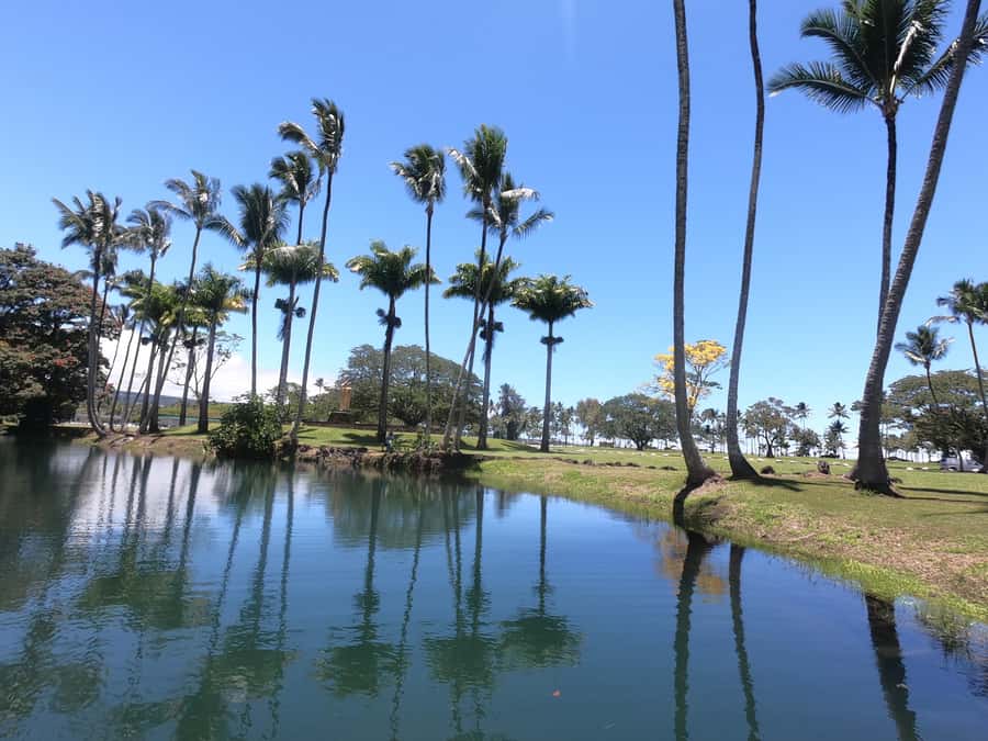 Hilo: Wailoa River to King Kamehameha Guided Kayaking Tour - Should you book the Wailoa River tour?