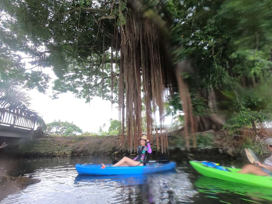 Hilo: Wailoa River to King Kamehameha Guided Kayaking Tour - Fish, birds, and the arboretum