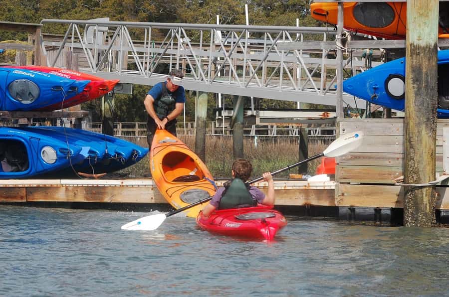 Hilton Head: 2-Hour Kayak Dolphin Nature Tour - What the $47 Hilton Head kayak tour actually offers