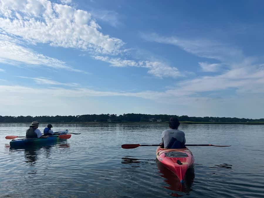 Hilton Head: 2-Hour Kayak Dolphin Nature Tour - What the guides add to the paddle