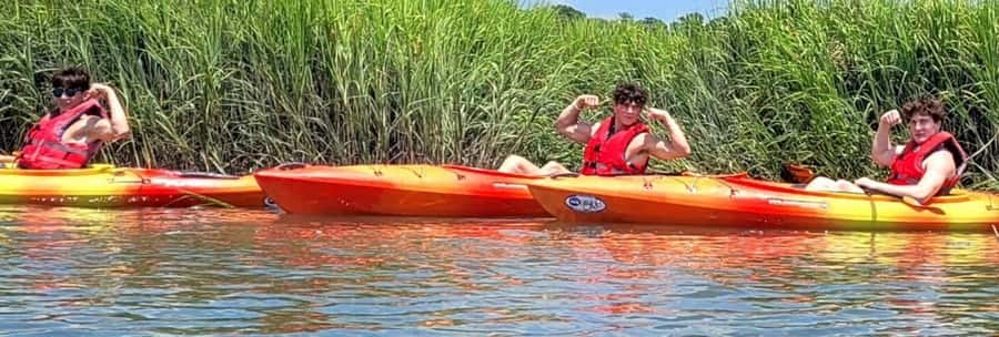 Hilton Head: 2-Hour Kayak Dolphin Nature Tour - Morning, afternoon, or evening conditions