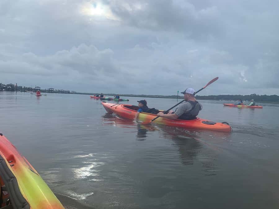 Hilton Head: 2-Hour Kayak Dolphin Nature Tour - Cancellation and booking flexibility