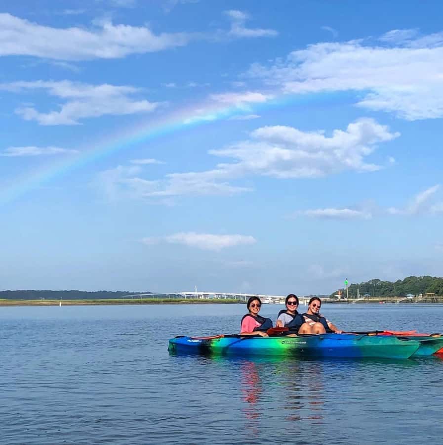 Hilton Head: 2-Hour Kayak Dolphin Nature Tour - A gentle route through Hilton Head’s marshes