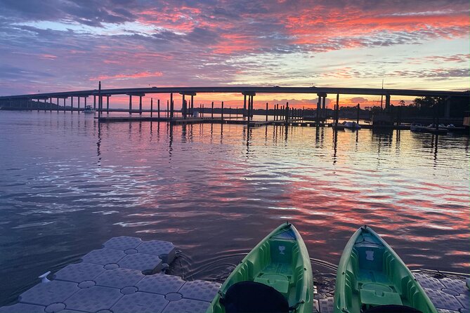 Hilton Head Guided Kayak Eco Tour - Dolphins, birds, fish, and oyster banks