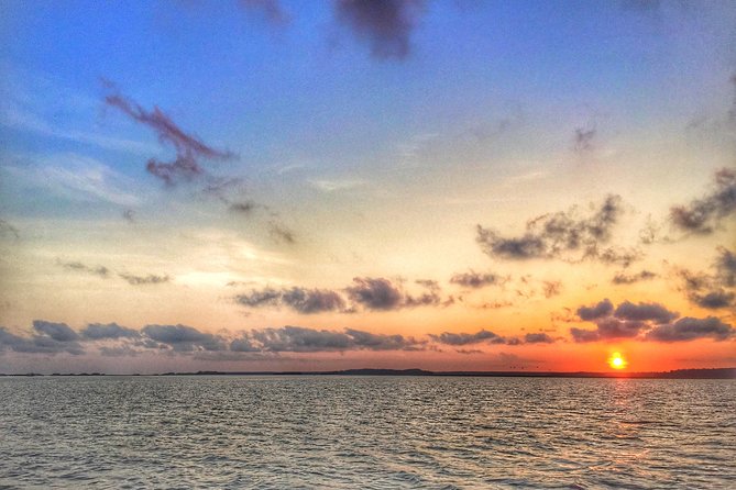 Hilton Head Guided Kayak Eco Tour - Why group size matters on the water