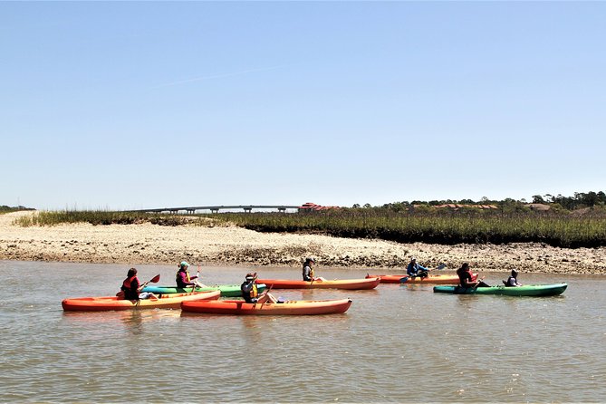 Hilton Head Guided Kayak Eco Tour - What the $45 price includes