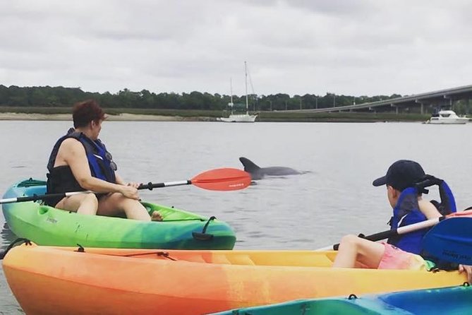 Hilton Head Guided Kayak Eco Tour - Through Hilton Head’s marsh and creek waters