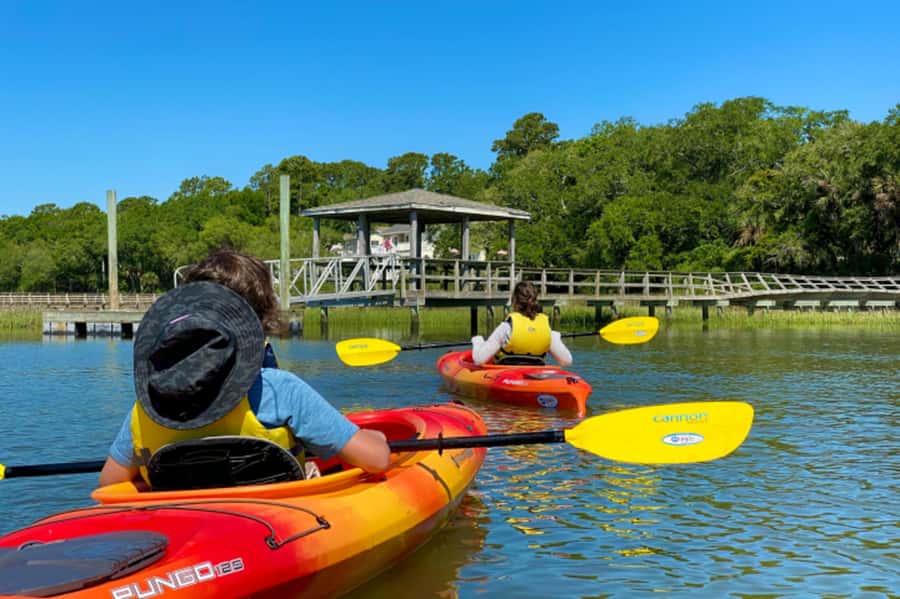 Hilton Head: Guided Kayak Nature Tour with Wildlife Spotting - Two hours on the tidal creeks