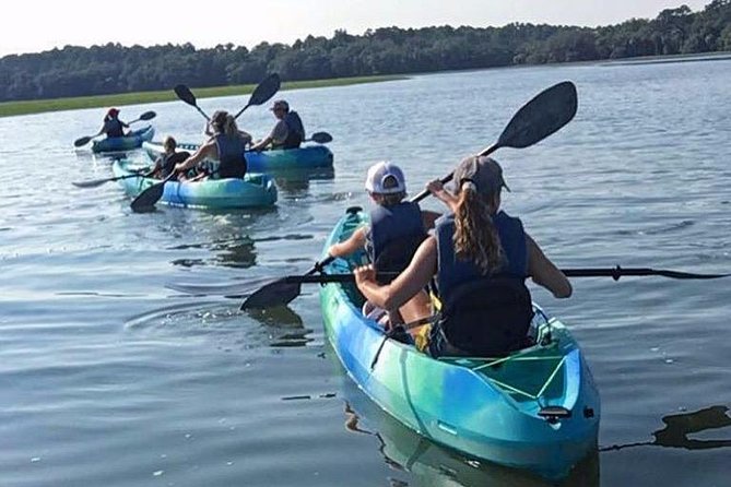 Hilton Head Guided Kayak Tour - A nature walk on the water at Skull Creek