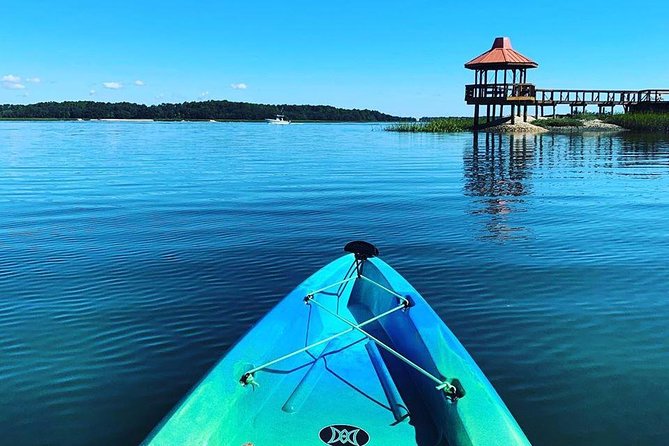 Hilton Head Guided Kayak Tour - The guide can make or break the tour