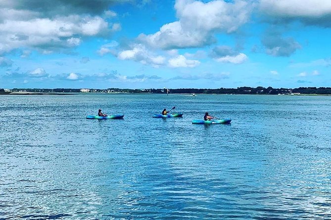 Hilton Head Guided Kayak Tour - Is $43.46 a fair price?