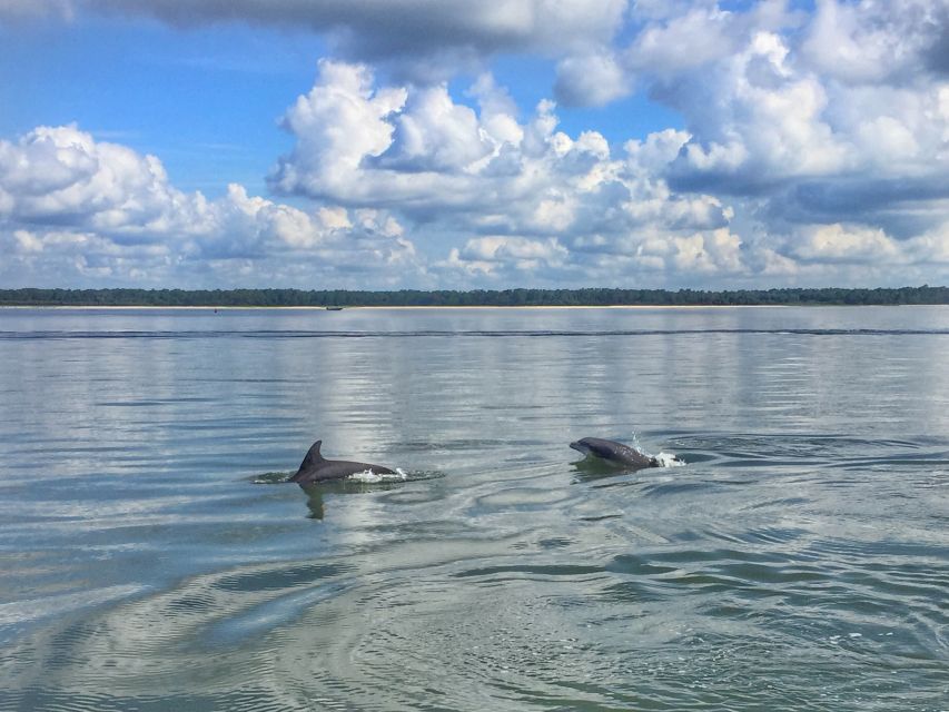 Hilton Head Island: 1.5-Hour Guided Small-Group Kayak Tour - Broad Creek from a kayak, not a tour boat