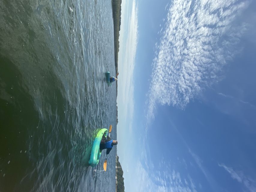 Hilton Head Island: 1.5-Hour Guided Small-Group Kayak Tour - Lowcountry marsh views at water level