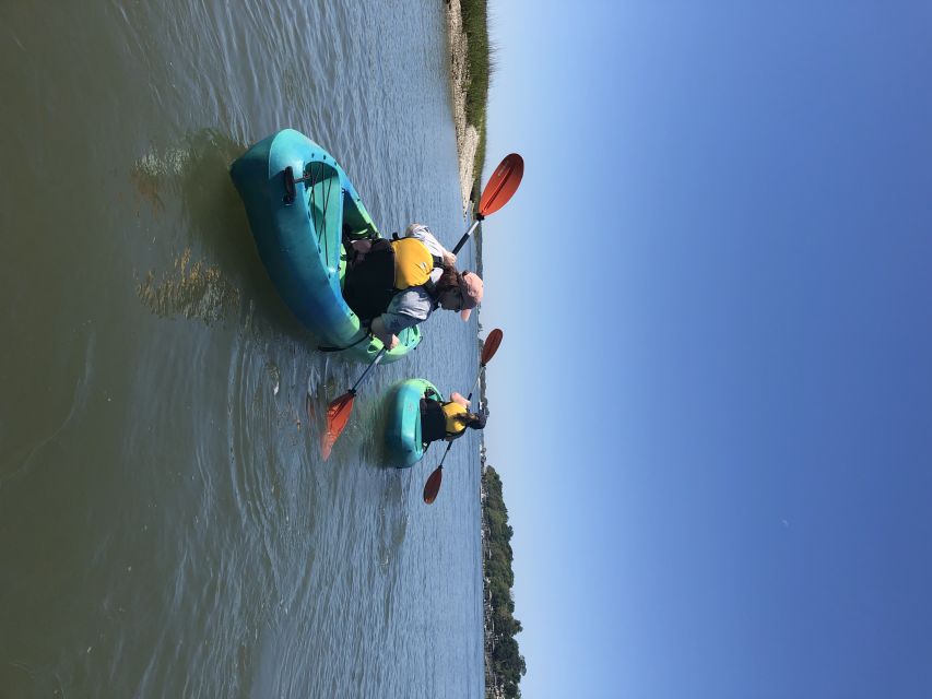 Hilton Head Island: 1.5-Hour Guided Small-Group Kayak Tour - What $45 buys you