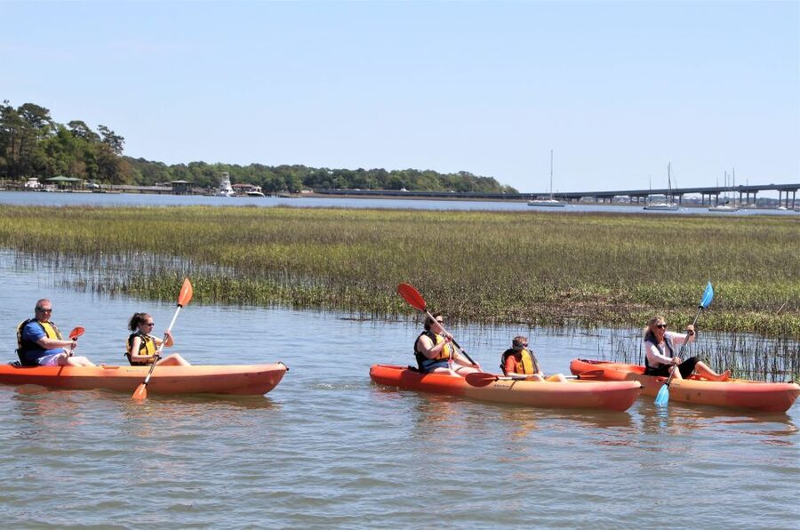 Hilton Head Island: 1.5-Hour Guided Small-Group Kayak Tour - Practical advice for a smoother outing