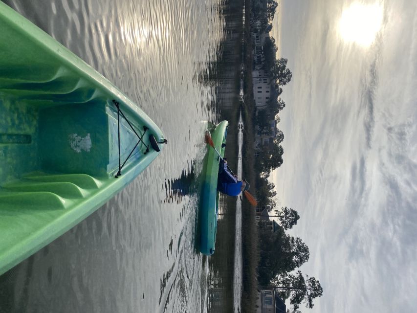 Hilton Head Island: 1.5-Hour Guided Small-Group Kayak Tour - Starting at Palmetto Bay Marina