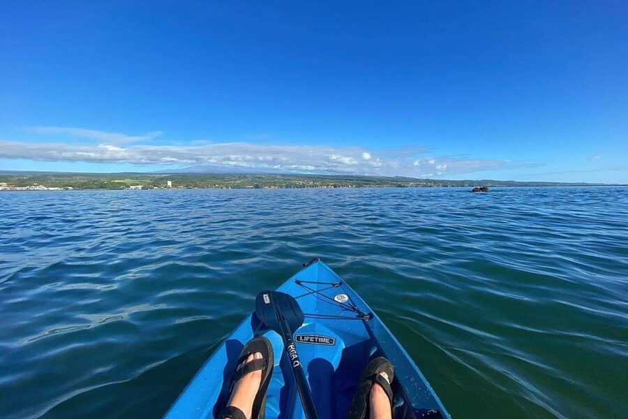 Historic Hilo Bay and Coconut Island Guided Kayak Adventure - Coconut Island, or Moku Ola