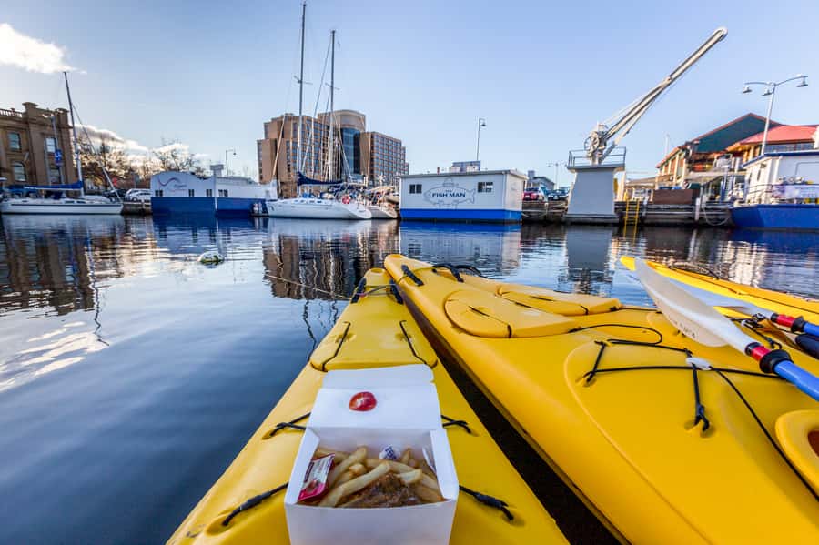 Hobart City 2.5-Hour Kayak Tour - Starting at Sandy Bay beside the rowing sheds