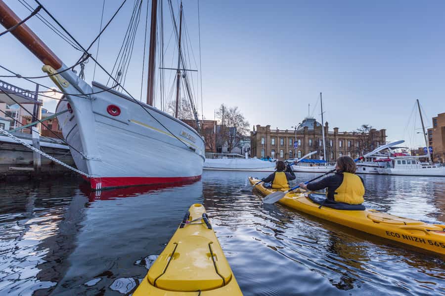 Hobart City 2.5-Hour Kayak Tour - Under the fishing wharves and into the docks