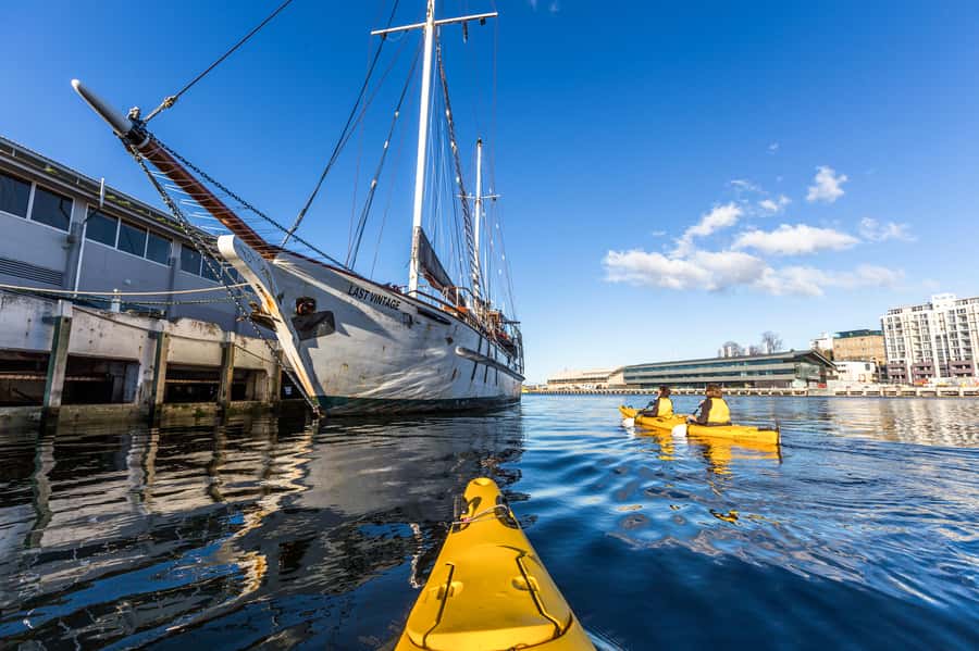 Hobart City 2.5-Hour Kayak Tour - What the 150-minute schedule really means