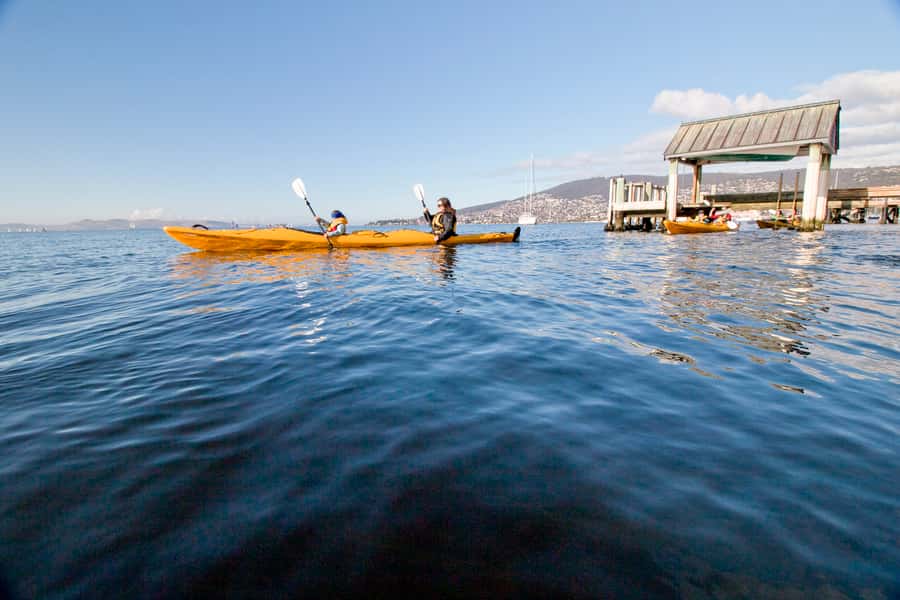 Hobart City 2.5-Hour Kayak Tour - Guides, pace, and the feel of the outing