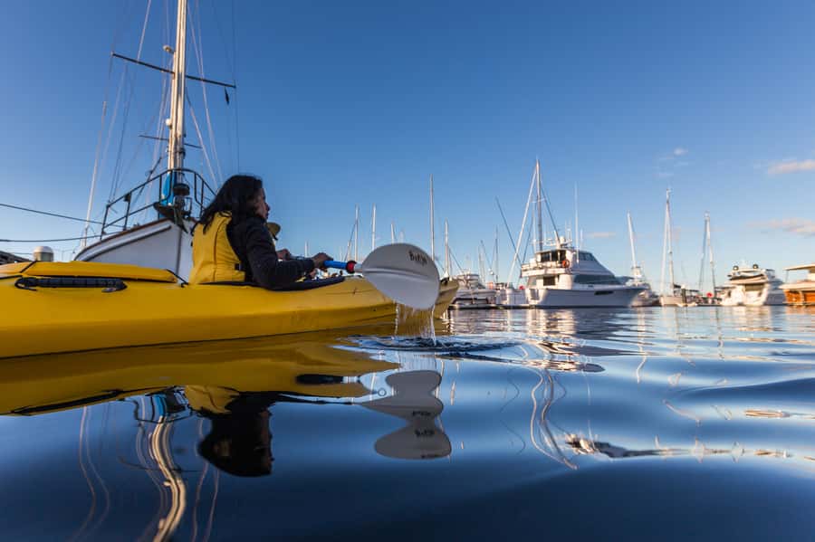 Hobart City 2.5-Hour Kayak Tour - Weather, clothing, and practical preparation