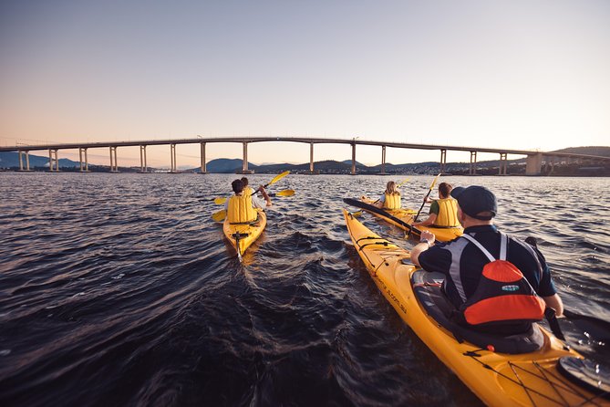 Hobart Kayak Tour - What the Hobart kayak tour is really like