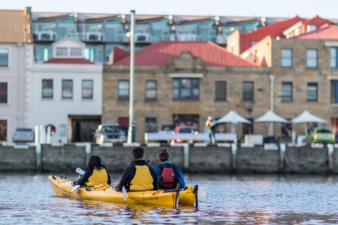 Hobart Kayak Tour - Guide quality and group size