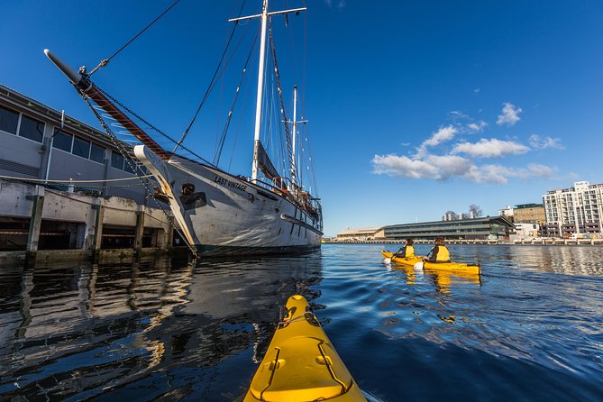 Hobart Kayak Tour - Is $179 good value?