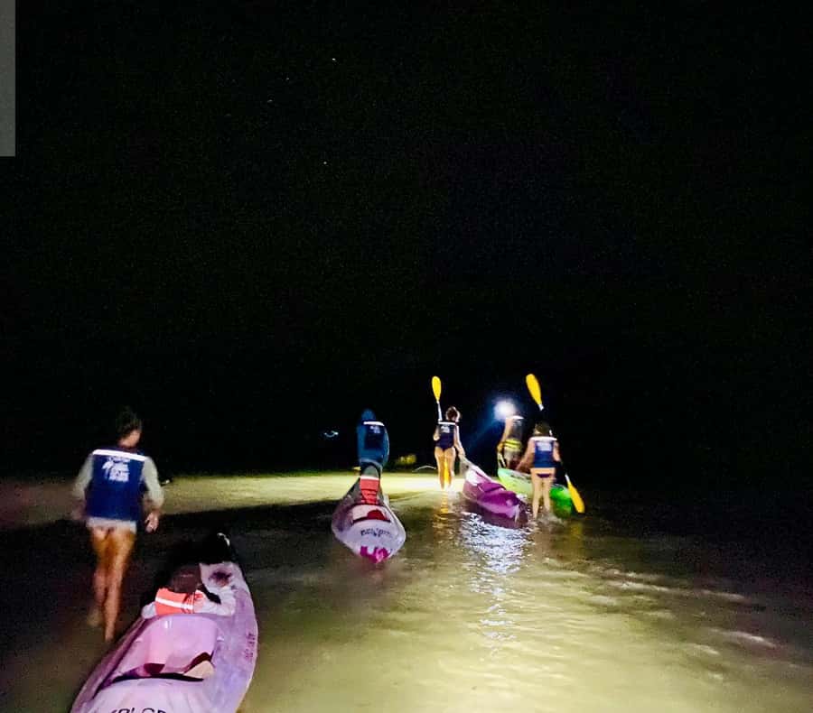 Holbox: Bioluminescence by Kayak and Stargazing. - Swimming With Green, White, or Blue Glow