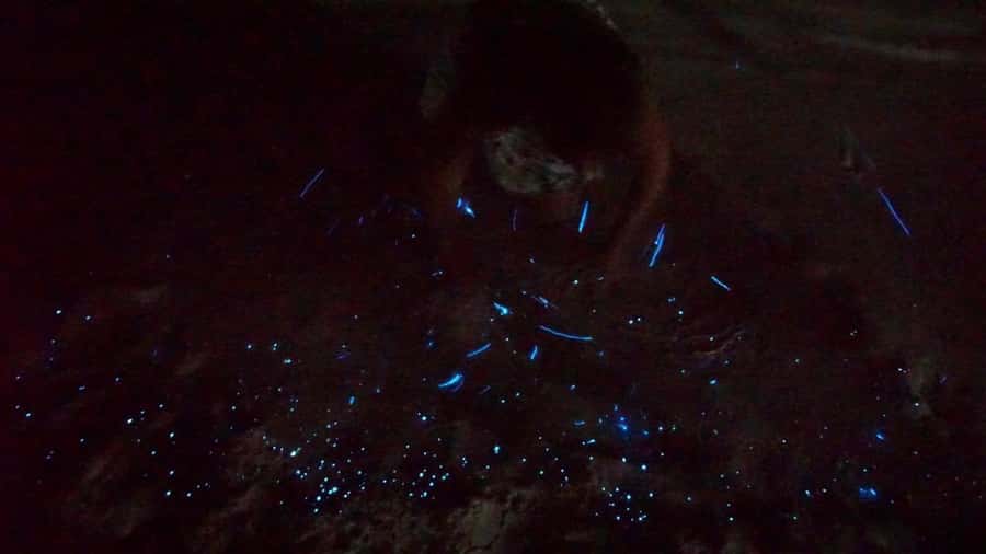 Holbox: Bioluminescence by Kayak and Stargazing. - What to Bring for a Wet, Buggy Evening