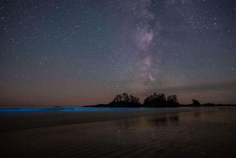 Holbox: Guided Bioluminescence Kayaking Tour - Why Holbox’s glowing sea is worth seeing