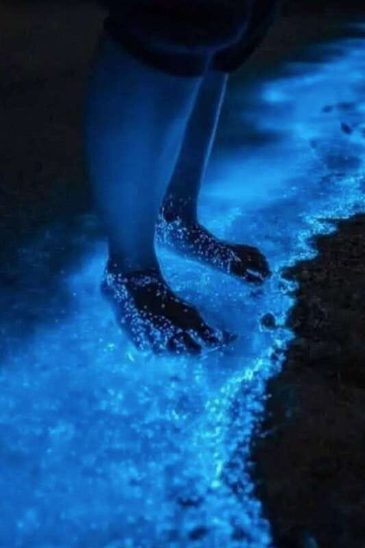 Holbox: Guided Bioluminescence Kayaking Tour - The first 20 minutes: paddling under the stars