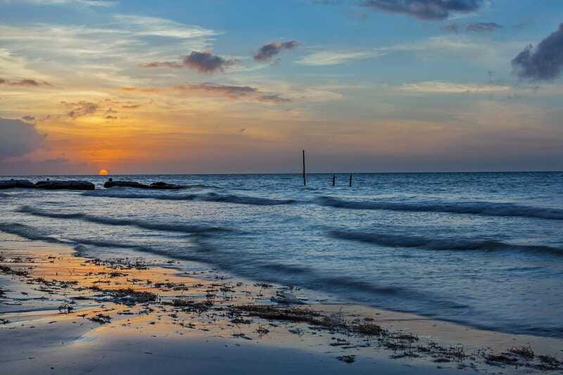 Holbox: Guided Bioluminescence Kayaking Tour - How much value do you get for $49?