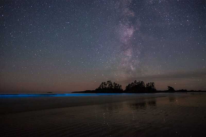 Holbox: Guided Bioluminescence Kayaking Tour - What to bring for a wet night