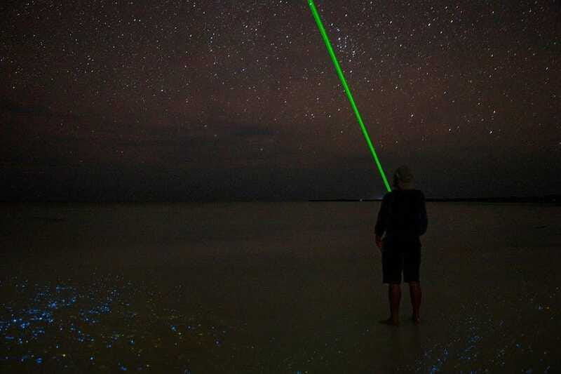 Holbox: Guided Bioluminescence Kayaking Tour - Who will enjoy this most?